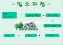 한사랑마을() 8페이지