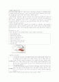 부비동염의 치료 및 간호와 임상증상 2페이지