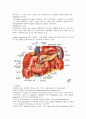 갈색세포종(Pheochromocytoma) 간호사례 2페이지
