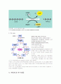 탄수화물의 체내역할 10페이지