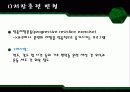 운동처방-컨디셔닝의 원리 12페이지