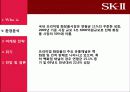 P&G SK-II의 국내 화장품시장 진입의 마케팅 전략 6페이지