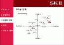 P&G SK-II의 국내 화장품시장 진입의 마케팅 전략 9페이지