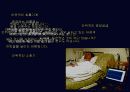 안락사 찬성 피티- 최종본 20페이지