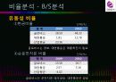 재무제표 분석  12페이지