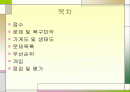 사례관리 문제 욕구파악 가계도 생태도 개입 2페이지