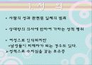 성性범_죄 3페이지