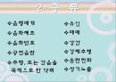 성性범_죄 4페이지