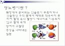 성인 당뇨병에 대하여 3페이지