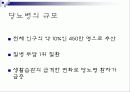 성인 당뇨병에 대하여 6페이지