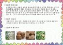 우성유전 열성유전에 따른 질병 25페이지