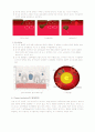 plume tectonics 3페이지