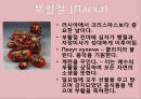 A+ 러시아 연방[Russia Federation] 레포트 러시아 러시아인물 러시아역사 러시아음식 러시아전통러시아건물러시아건물 29페이지