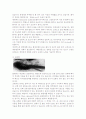 2. 소화기계 전염병의 특징과 종류 2페이지