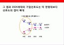 글로벌브랜드 이미지 구축 커뮤니케이션전략 34페이지