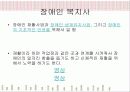 사회복지사가 하는일 15페이지