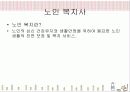 사회복지사가 하는일 19페이지