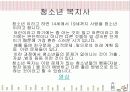 사회복지사가 하는일 25페이지