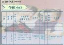 사회복지현장실습 아동복지시설 경동원 9페이지