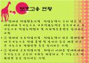 장애인의 고용과 고용정책 10페이지