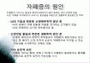 [정신건강론]자폐증조사발표자료 4페이지