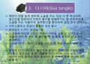[호텔조리]재료학발표자료(해조류) 6페이지