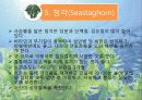 [호텔조리]재료학발표자료(해조류) 8페이지