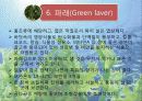 [호텔조리]재료학발표자료(해조류) 9페이지