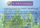 [호텔조리]재료학발표자료(해조류) 11페이지