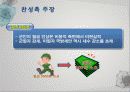 군가산점찬반PPT 6페이지