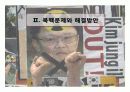 정권별 남북교류와 북핵문제 36페이지