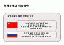 정권별 남북교류와 북핵문제 44페이지