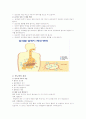 (간호)당뇨병 환자의 교육용(당뇨환자의 교육을 위한 워드자료, 당뇨질환에 대한 상세한 설명) 3페이지