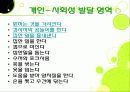 DDST 발표자료 9페이지