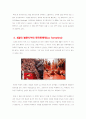 스페인의 축제들 (Vivir la Fiesta) 레포트 6페이지