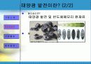 환경친화 기업 KCC 발표 PPT(사업 부문 등) 6페이지