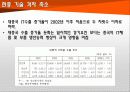 중국 기술 추격(반도체, LCD, 휴대폰) 8페이지