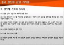 중국 기술 추격(반도체, LCD, 휴대폰) 24페이지