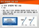중국 기술 추격(반도체, LCD, 휴대폰) 44페이지