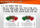 중국 기술 추격(반도체, LCD, 휴대폰) 61페이지