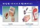 고등학교 성교육-피임법 17페이지