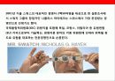 시계산업의 패션혁명 스와치의 성공전략 8페이지
