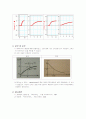 rcconstant1 4페이지