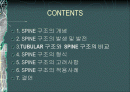 SD1조 SPINE 구조시스템 2페이지