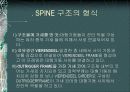 SD1조 SPINE 구조시스템 8페이지