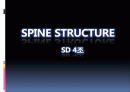 sd4조 spine structure 1페이지
