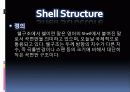 SD 4조 쉘구조 3페이지