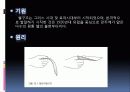 SD 4조 쉘구조 4페이지
