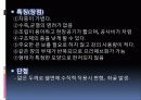 SD 4조 쉘구조 5페이지