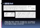 SD 4조 쉘구조 6페이지